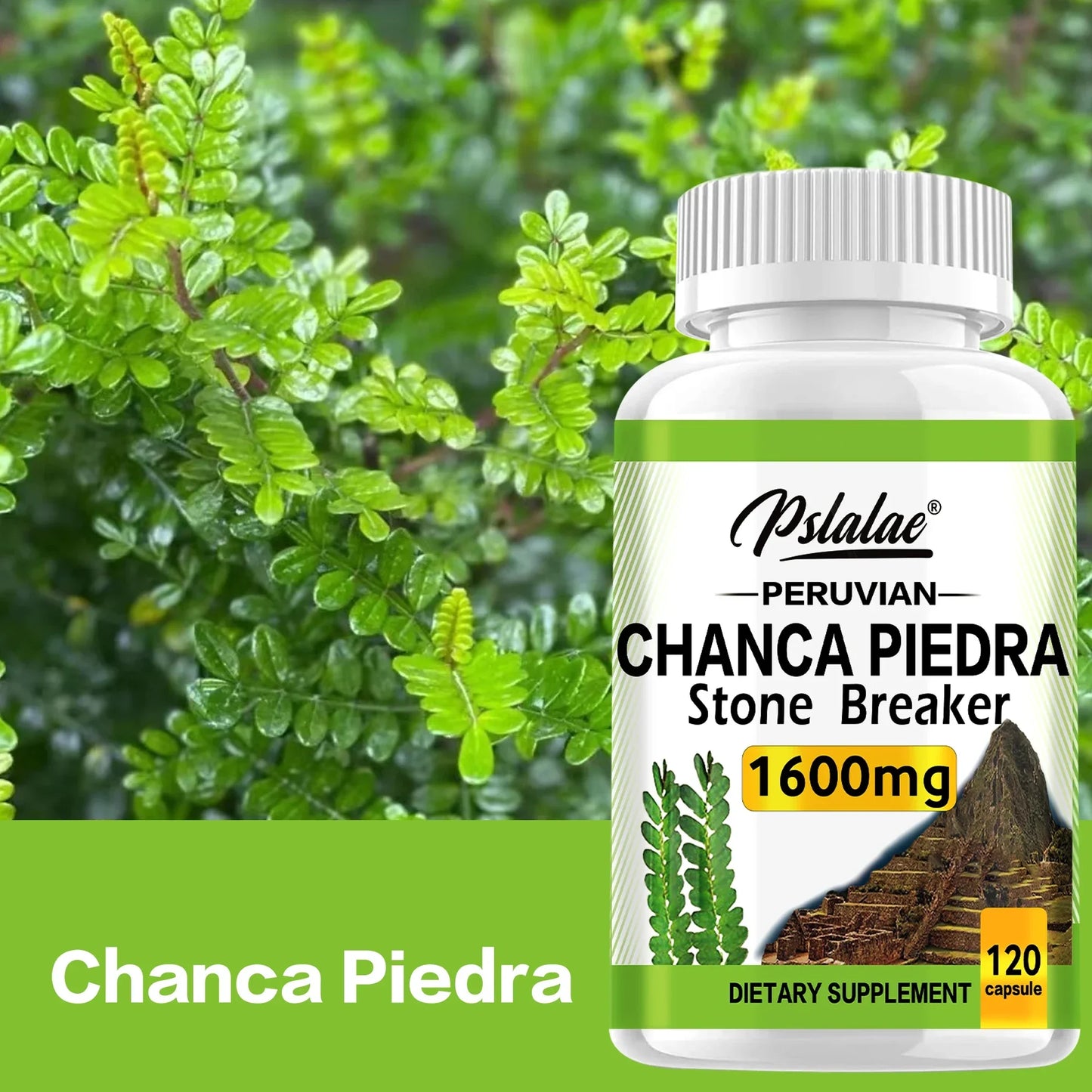 Chanca Piedra 1600mg - Supports Kidney Function, Promotes Detoxification, Cleansing and Repair, and Boosts Energy - 120 Capsules