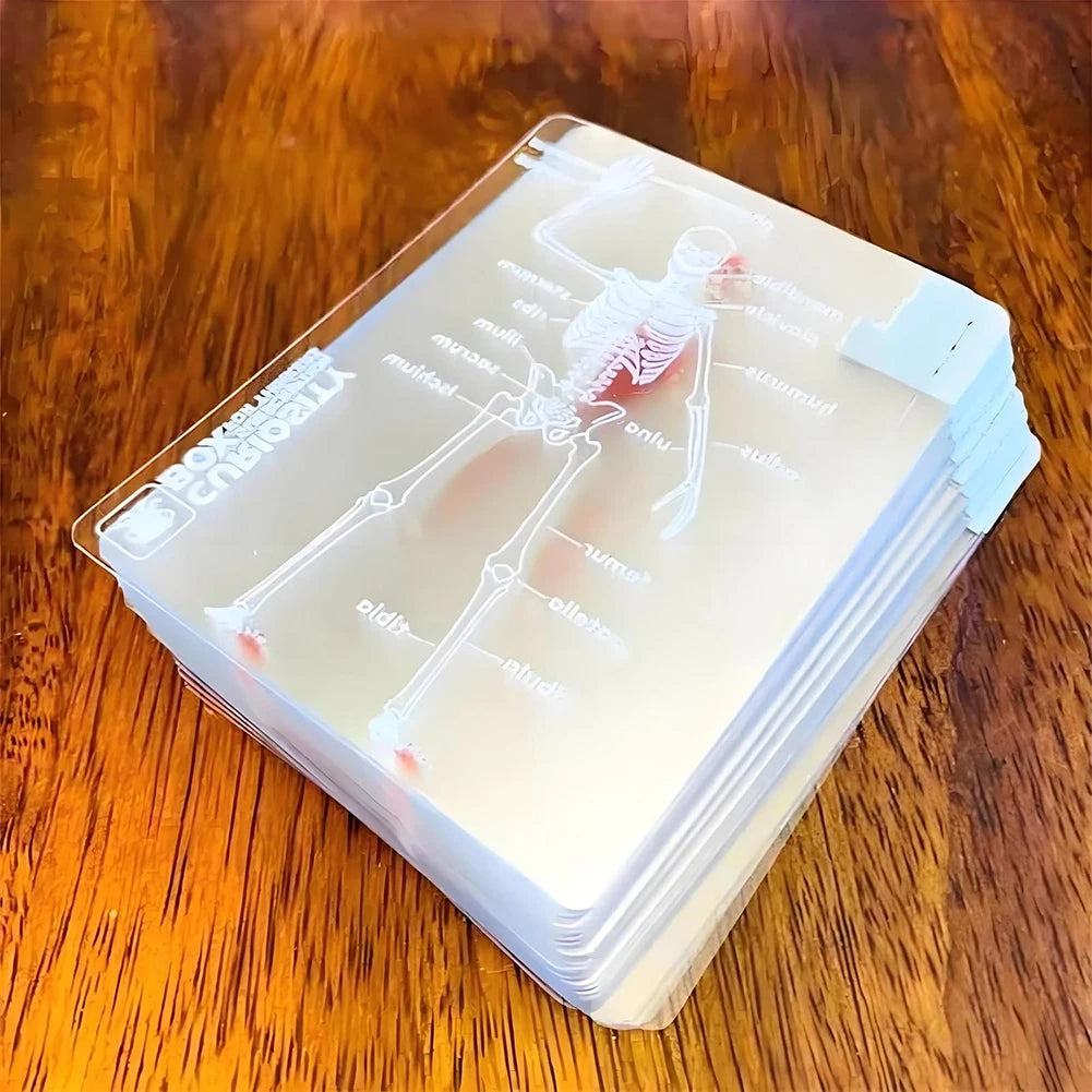 3D Image Educational Cards Multi-Purpose Body Transparent Playing Cards Human Anatomy Playing Cards for Card Collectors