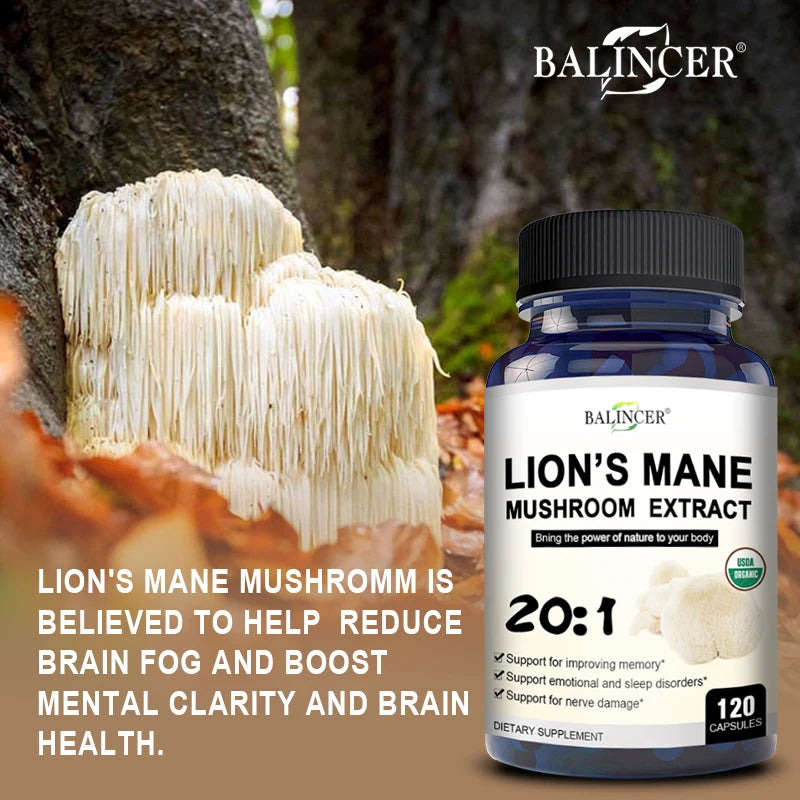Lions Mane Mushroom Extract Supplement for Mood and Sleep Health, Non-GMO, Gluten-free