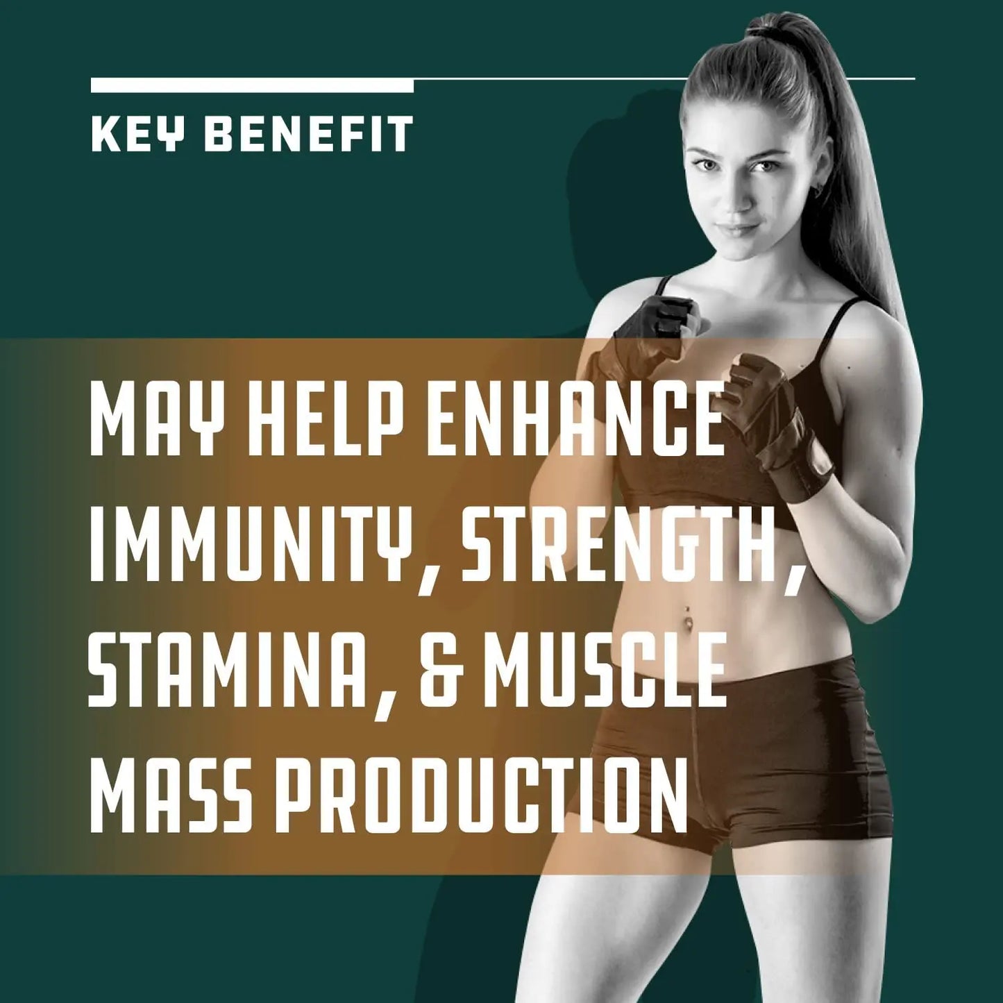 Colostrum, 30% IgG 500 mg - Muscle Support, Gut Health, Joint Immunity, Bone Strength & Brain Support, 60 Capsules