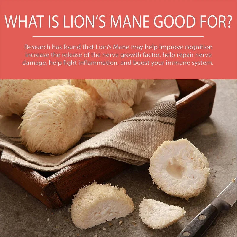 Lion's Mane Cordyceps Extract Cognitive Capsules, enhance memory, improve mental concentration, support immune system balance